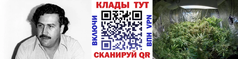 Купить Канабис  A PVP  Экстази  Псилоцибиновые грибы  Бутират  КОКАИН  МЕФ  Реутов