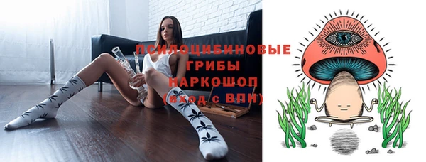 гашик Арсеньев