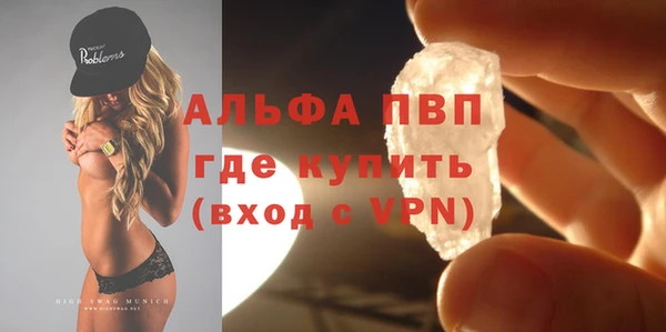 гашик Арсеньев