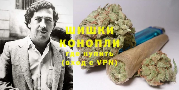 гашик Арсеньев